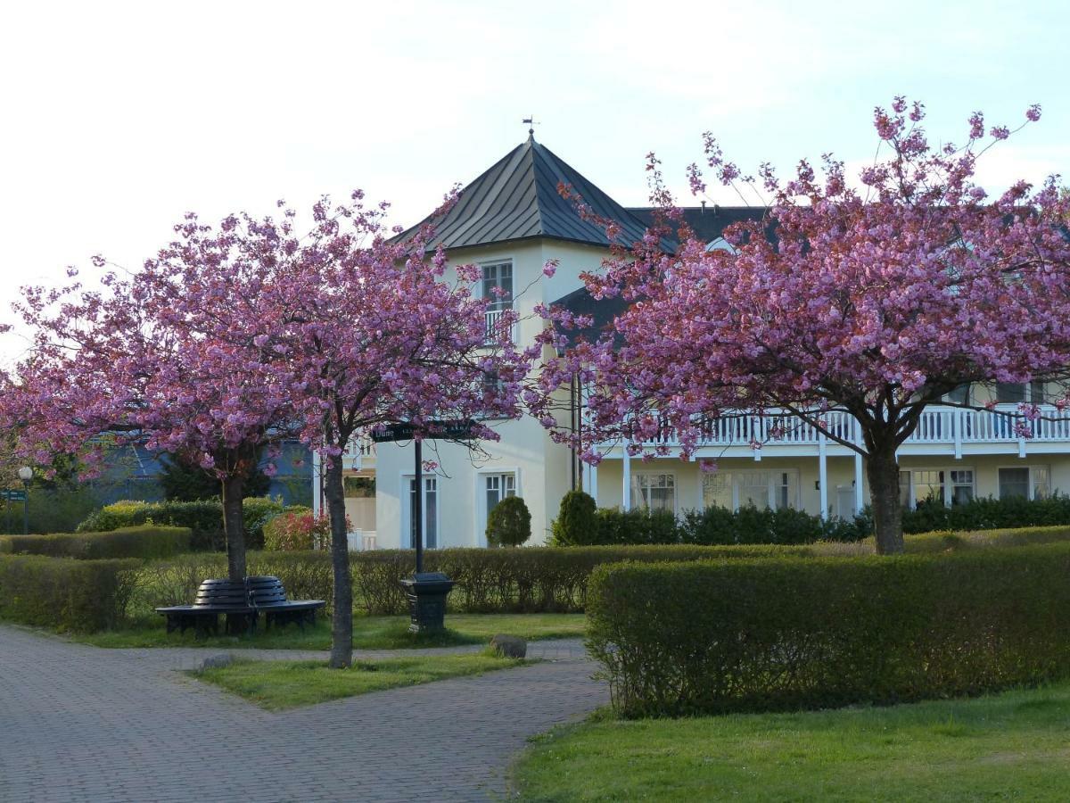 Duenenpark In Binz Fuer Eltern Und Kind Apartment Екстериор снимка